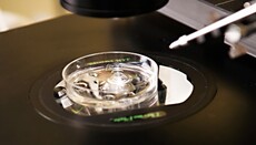 U.S. Company Launches First Embryo ‘Optimization’ Platform for IVF Parents