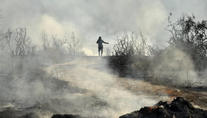 Photo: Petros Karadjias/AP