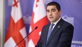Speaker Shalva Papuashvili. Photo: parliament.ge
