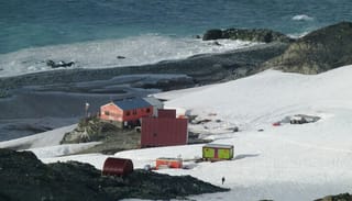 Photo: commons.wikimedia.org/wiki/User:SnowSwan