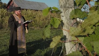 Photo: Ascension Wines Co. homepage screenshot