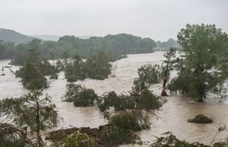 Trees emerge from flood waters along the Guadalupe River on Friday in Kerrville, Texas. Photo: Eric Vryn/Getty Images
