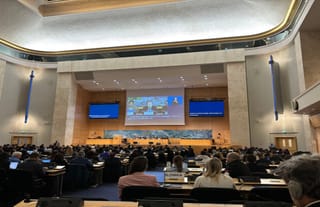 U.N. Forum on Minority Issues. Photo: Public Advocacy