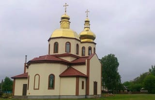 The church in Shevchenkove. Photo: OCU