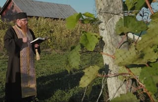 Photo: Ascension Wines Co. homepage screenshot