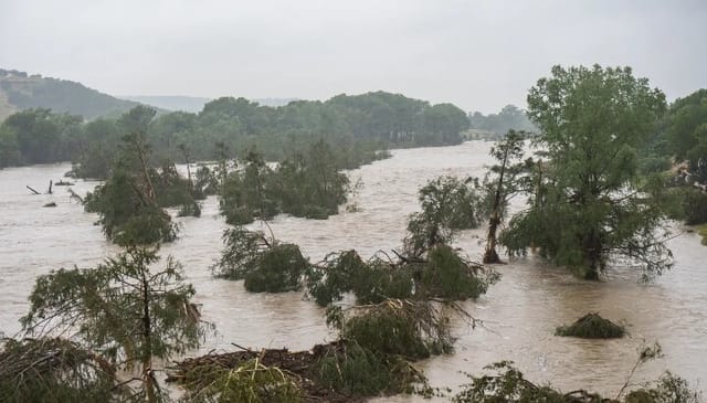 Trees emerge from flood waters along the Guadalupe River on Friday in Kerrville, Texas. Photo: Eric Vryn/Getty Images