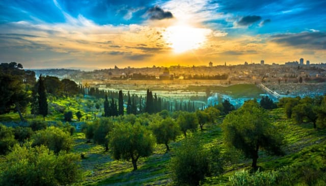 The Mount of Olives. [Credit: Family of Israel]