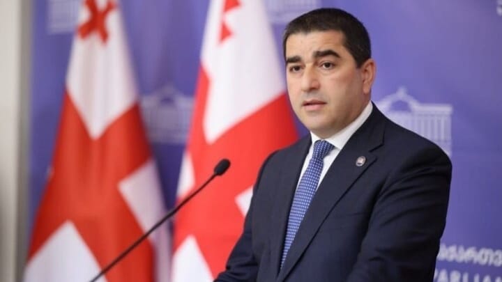 Speaker Shalva Papuashvili. Photo: parliament.ge