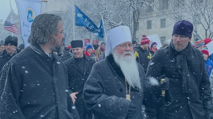 Photo: Orthodox Christians for Life/Facebook