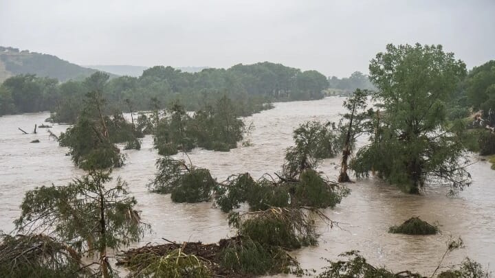 Trees emerge from flood waters along the Guadalupe River on Friday in Kerrville, Texas. Photo: Eric Vryn/Getty Images