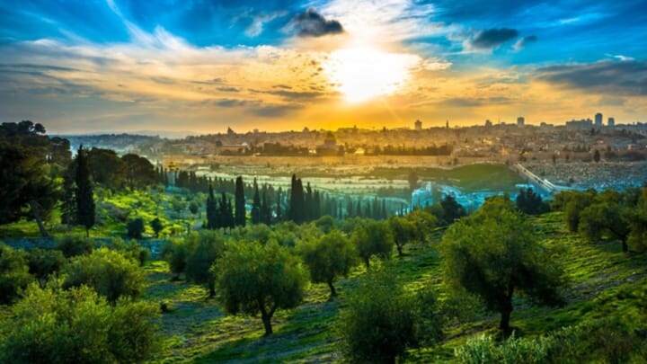The Mount of Olives. [Credit: Family of Israel]