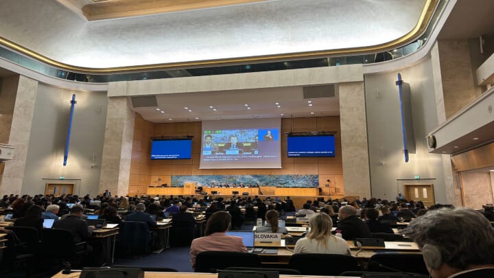 U.N. Forum on Minority Issues. Photo: Public Advocacy