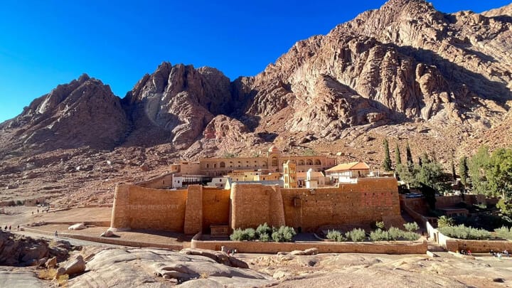 www.tripsinegypt.co.uk