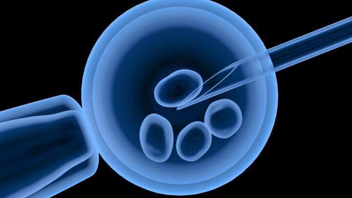 The WHO has called for "equal access" to IVF. Photo: centreforivf.in