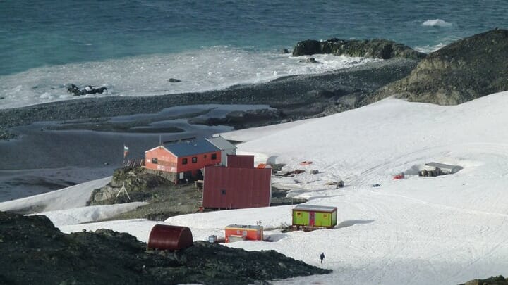 Photo: commons.wikimedia.org/wiki/User:SnowSwan