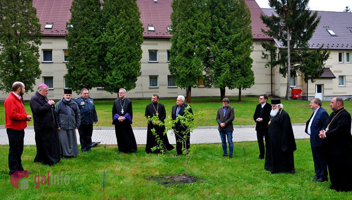 “Maple of Unity” of the church structure of Epiphany Dumenko with Catholics and Greek Catholics. Photo: galinfo.com.ua