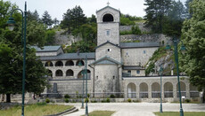 Cetinje Council 