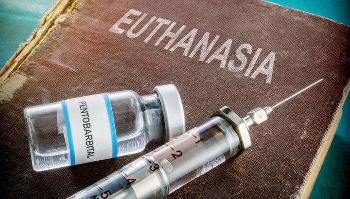 Euthanasia. Photo: total.kz