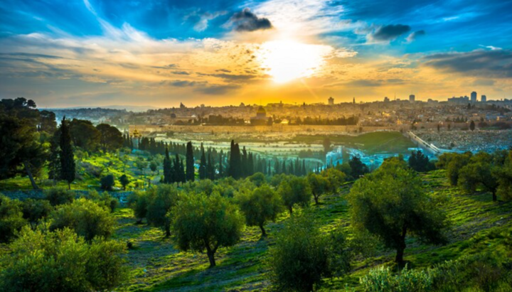 The Mount of Olives. [Credit: Family of Israel]