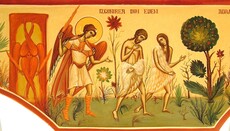 On Public Orthodoxy’s Gender Confusion: A Response to Nik Jovcic-Sas