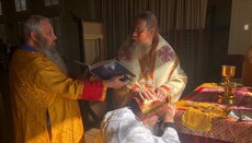 Met. Jonah (Paffhausen) on Orthodoxy's Southern Revival