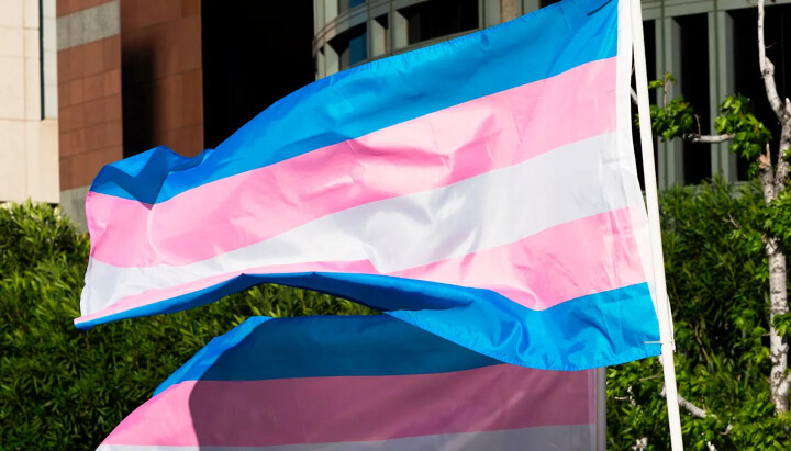 The rate of students identifying as transgender or nonbinary has dropped significantly since 2022. Photo: Fox 7 Austin