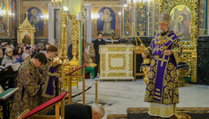 Moldovan Orthodox Synod Rejects 'Unfounded Attacks,' Reaffirms Autonomy