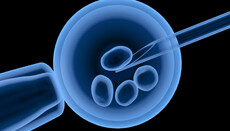 WHO Calls for Equal Access to IVF for Singles, Same-Sex Couples, and Transgender Patients