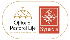 OCA Clergy Gather for Winter Synaxis Focused on Renewal and Resilience
