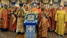 Met. Nicholas Brings Kursk Root Icon to South Carolina Parish