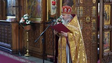 Metr. Sawa Sends Message of Hope to Svyatohirsk Lavra