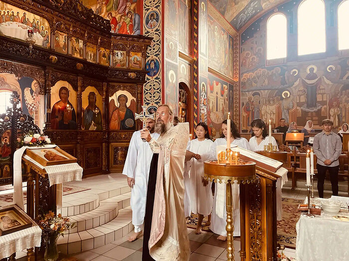 480155.p.jpg (138 KB)